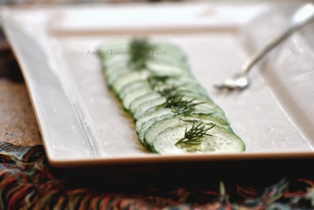A Very Easy Cucumber and Fresh Dill Salad