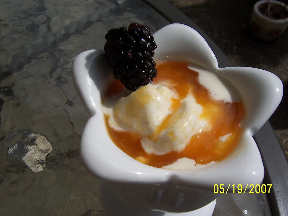 Apricot Sauce