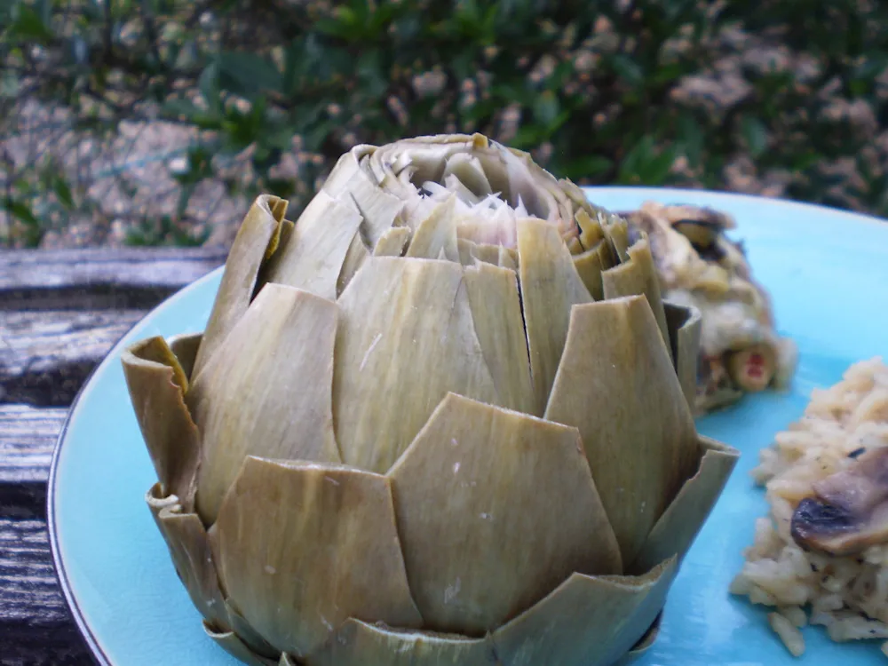 Artichokes Steamed in the Microwave
