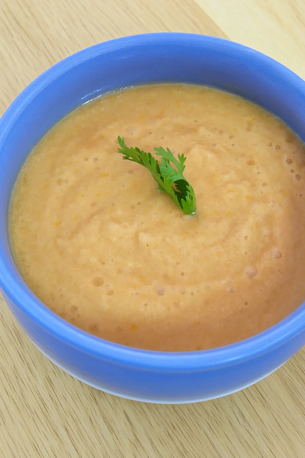 Authentic Gazpacho - Southern Spain — Vegetable recipe