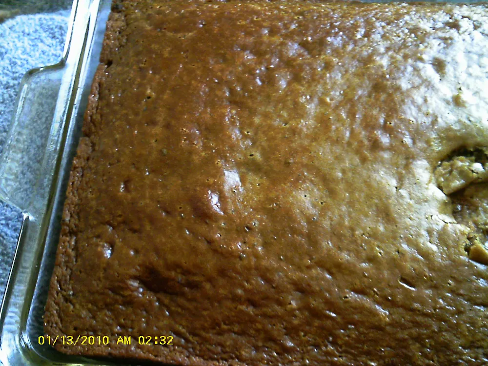 Chocolate Cake Made With Salad Dressing — Salads recipe
