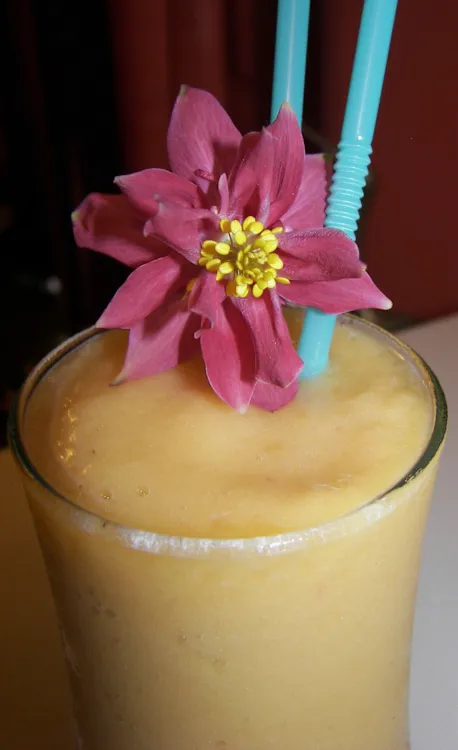 'spring in Your Step' Smoothie (Raw Food)