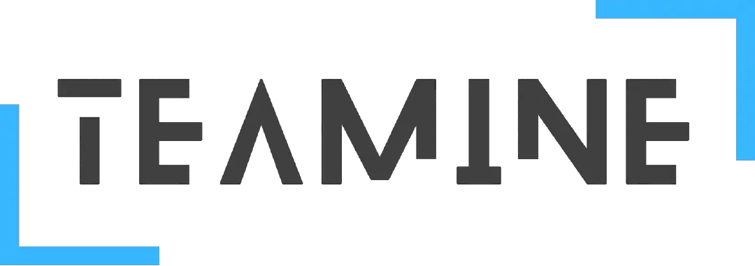 Teamine Agency Logo