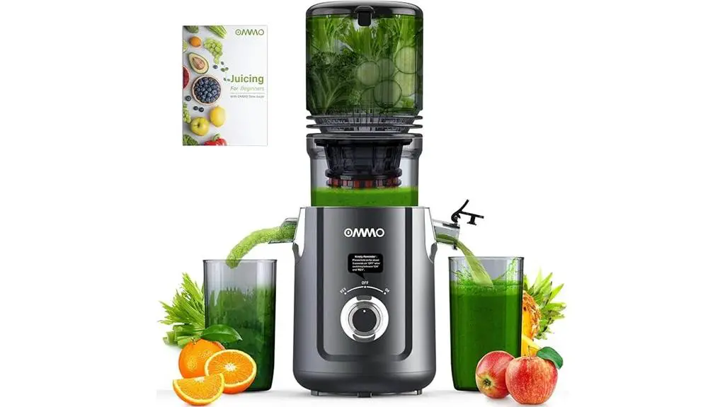high power cold juicer