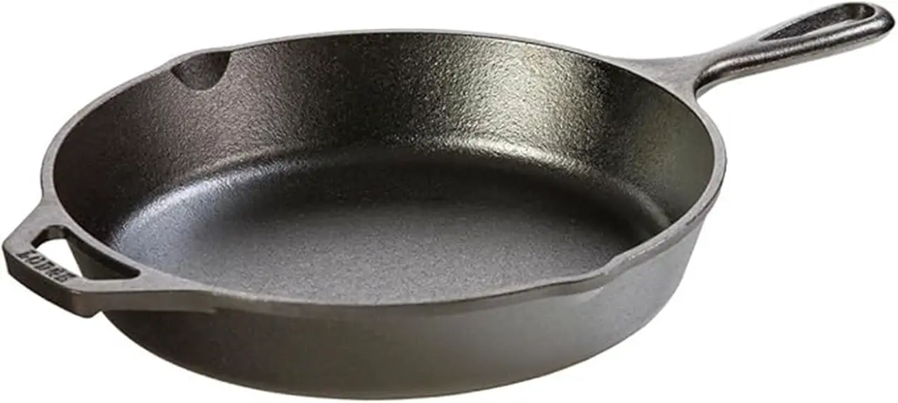 pre seasoned cast iron