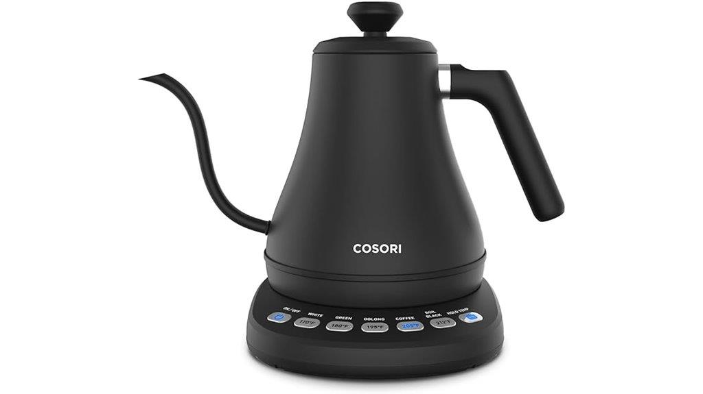 temperature controlled electric kettle